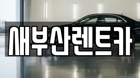 부산 동래구 장기렌트카,중고차,렌트카,단기렌트카,중고차매입,중고차매매