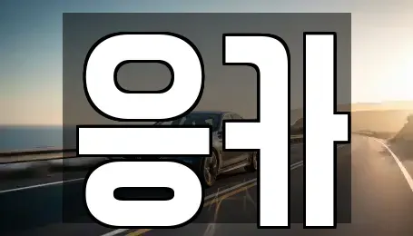 부산 동래구 장기렌트카 전문 응카