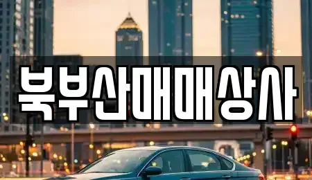 부산 동래구 중고차 전문 북부산매매상사