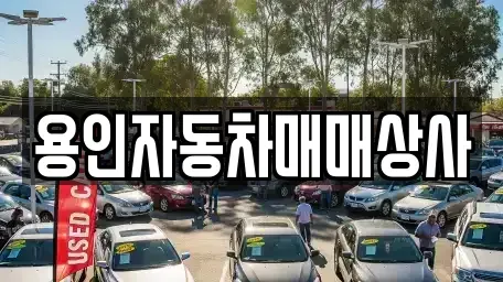 부산 동래구 중고차 전문 용인자동차매매상사
