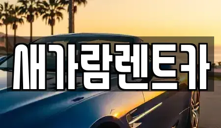부산 사상구 모라동 렌트카 전문 새가람렌트카