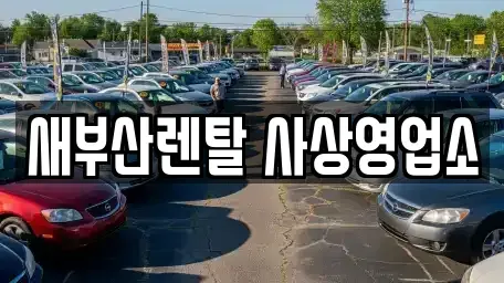 부산 사상구 모라동 렌트카 전문 새부산렌탈 사상영업소