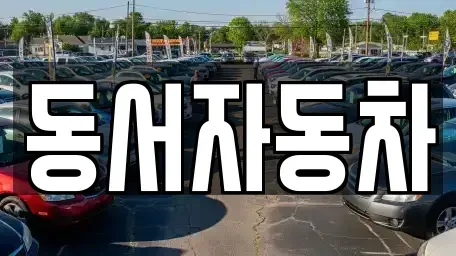 부산 사상구 모라동 중고차 전문 동서자동차