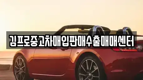 부산 서구 암남동 중고차매매,단기렌트카,중고차매입,장기렌트카,중고차,렌트카
