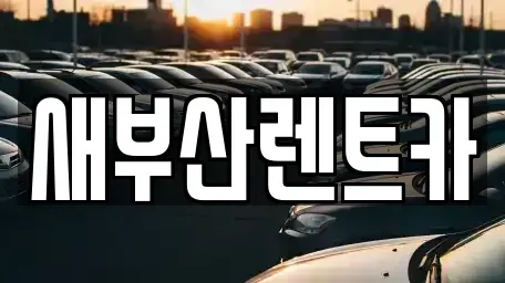 부산 서구 충무동1가 렌트카 전문 새부산렌트카