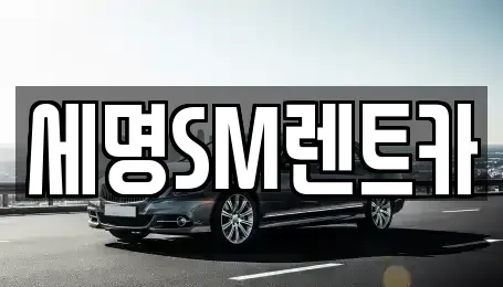 부산 영도구 영선동4가 렌트카 전문 세명SM렌트카