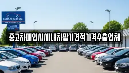 부산 영도구 영선동4가 중고차매매 전문 중고차매입시세내차팔기견적가격수출업체