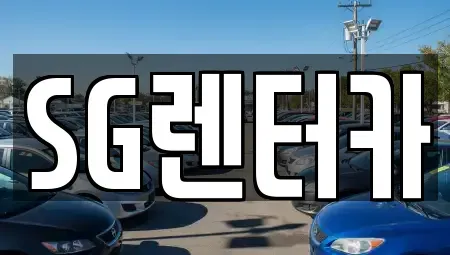 부산 중구 신창동1가 렌트카 전문 SG렌터카