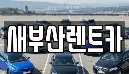 부산 중구 신창동1가 렌트카 전문 새부산렌트카