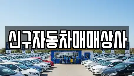 부산 중구 신창동1가 중고차매매 전문 신구자동차매매상사