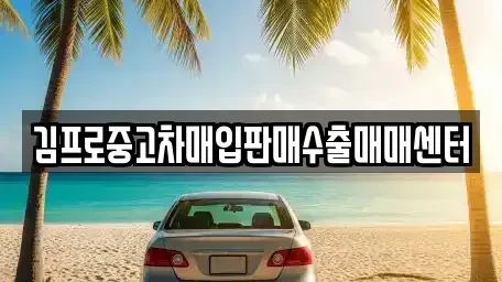 부산 중구 신창동1가 중고차매입 전문 김프로중고차매입판매수출매매센터