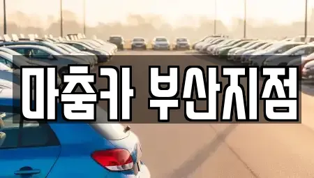 부산 해운대구 중동 장기렌트카 전문 마춤카 부산지점