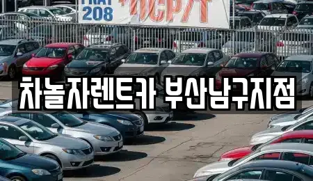 부산광역시 남구 감만동 렌트카 전문 차놀자렌트카 부산남구지점
