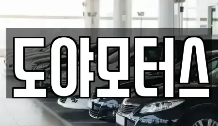부산광역시 남구 감만동 중고차 전문 도야모터스