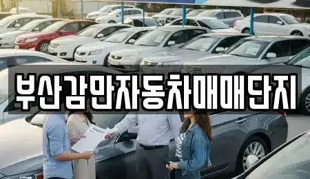 부산광역시 남구 감만동 중고차 전문 부산감만자동차매매단지