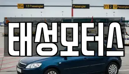 부산광역시 남구 감만동 중고차 전문 태성모터스