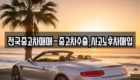 부산광역시 남구 감만동 중고차매입 전문 전국중고차매매-중고차수출,사고노후차매입