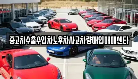 부산광역시 남구 감만동 중고차매입 전문 중고차수출수입차노후차사고차량매입매매센타