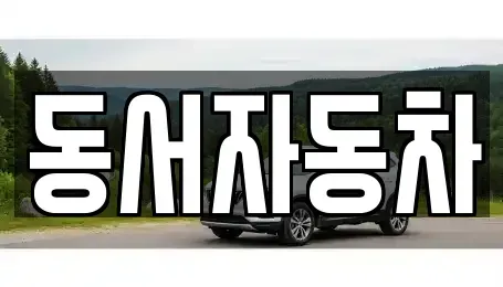 부산광역시 동구 중고차매매 전문 동서자동차