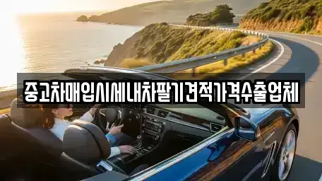부산광역시 동구 중고차매매 전문 중고차매입시세내차팔기견적가격수출업체