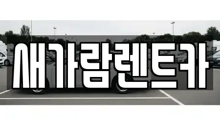부산광역시 부산진구 당감동 렌트카 전문 새가람렌트카