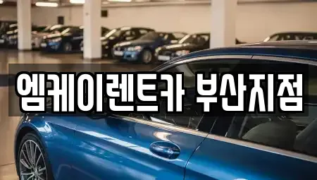 부산광역시 부산진구 당감동 렌트카 전문 엠케이렌트카 부산지점