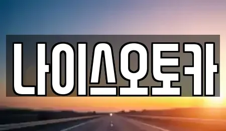부산광역시 부산진구 범전동 장기렌트카 전문 나이스오토카