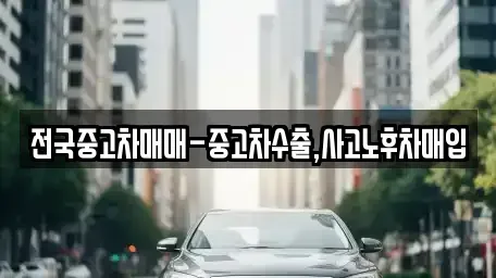 부산광역시 사상구 괘법동 중고차 전문 전국중고차매매-중고차수출,사고노후차매입