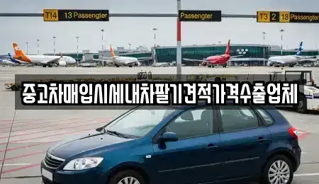 부산광역시 사상구 괘법동 중고차 전문 중고차매입시세내차팔기견적가격수출업체