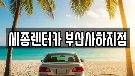부산광역시 사하구 렌트카 전문 세종렌터카 부산사하지점