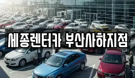 부산광역시 사하구 렌트카 전문 세종렌터카 부산사하지점