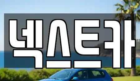 부산광역시 사하구 장기렌트카 전문 넥스트카