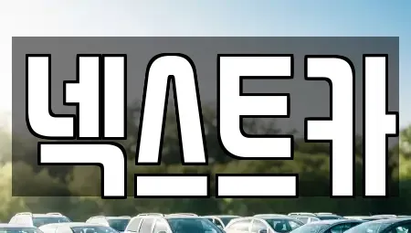 부산광역시 사하구 장기렌트카 전문 넥스트카