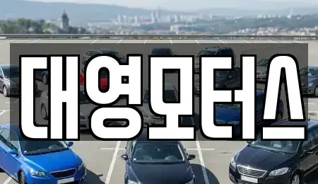 부산광역시 사하구 중고차매매 전문 대영모터스