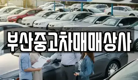 부산광역시 사하구 중고차매매 전문 부산중고차매매상사