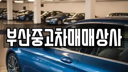 부산광역시 사하구 중고차매매 전문 부산중고차매매상사