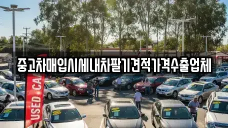 부산광역시 사하구 중고차매입 전문 중고차매입시세내차팔기견적가격수출업체