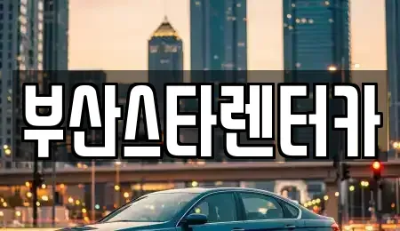 부산광역시 수영구 망미동 렌트카 전문 부산스타렌터카