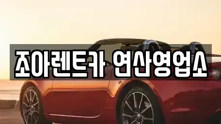 부산광역시 수영구 망미동 렌트카 전문 조아렌트카 연산영업소