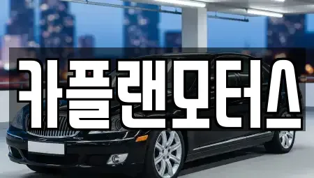 부산광역시 수영구 망미동 렌트카 전문 카플랜모터스