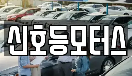 부산광역시 수영구 망미동 중고차매매 전문 신호등모터스
