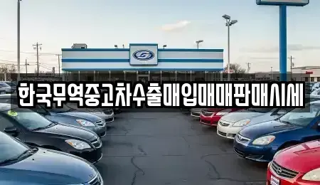 부산광역시 수영구 망미동 중고차매입 전문 한국무역중고차수출매입매매판매시세