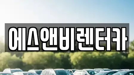 부산광역시 수영구 수영동 단기렌트카 전문 에스앤비렌터카