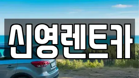 부산광역시 수영구 수영동 렌트카 전문 신영렌트카