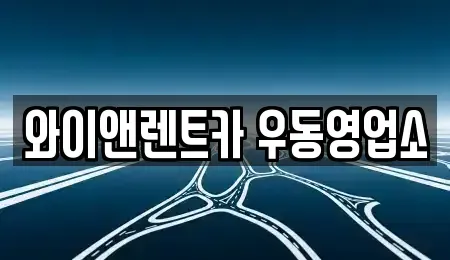부산광역시 수영구 수영동 장기렌트카 전문 와이앤렌트카 우동영업소