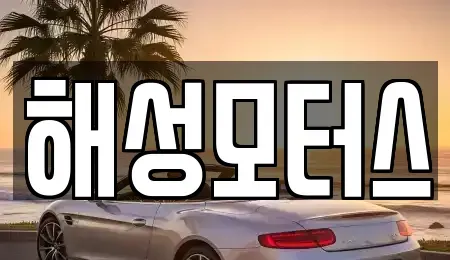 부산광역시 수영구 수영동 중고차 전문 해성모터스