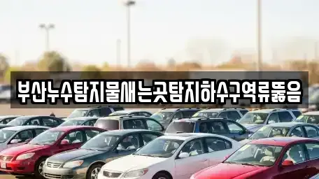 부산광역시 수영구 수영동 중고차매입 전문 부산누수탐지물새는곳탐지하수구역류뚫음