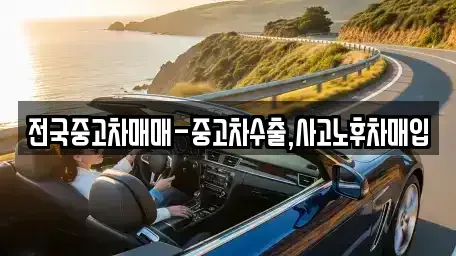 부산광역시 영도구 남항동2가 중고차 전문 전국중고차매매-중고차수출,사고노후차매입