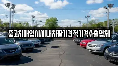 부산광역시 영도구 남항동2가 중고차매입 전문 중고차매입시세내차팔기견적가격수출업체