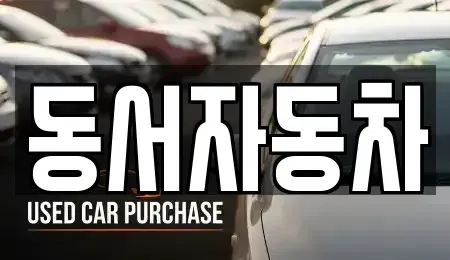 부산광역시 영도구 신선동3가 중고차매매 전문 동서자동차